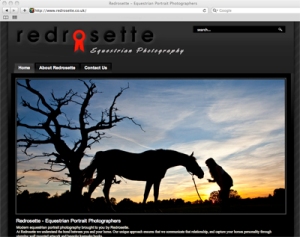 Redrosette website screen shot
